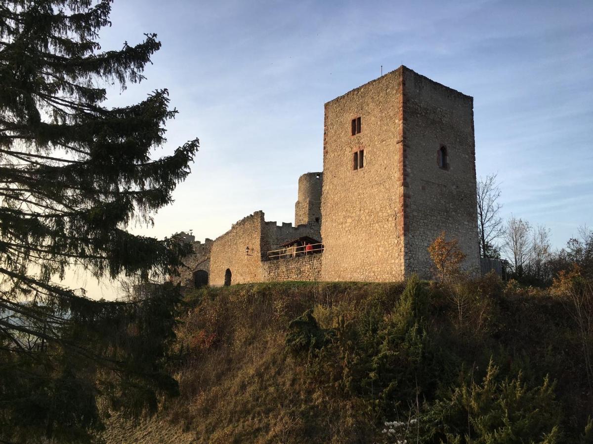 Ferienwohnungen Lausbuben & Zicken - Im Gruenen Herzen Deutschlands Herleshausen Exterior photo